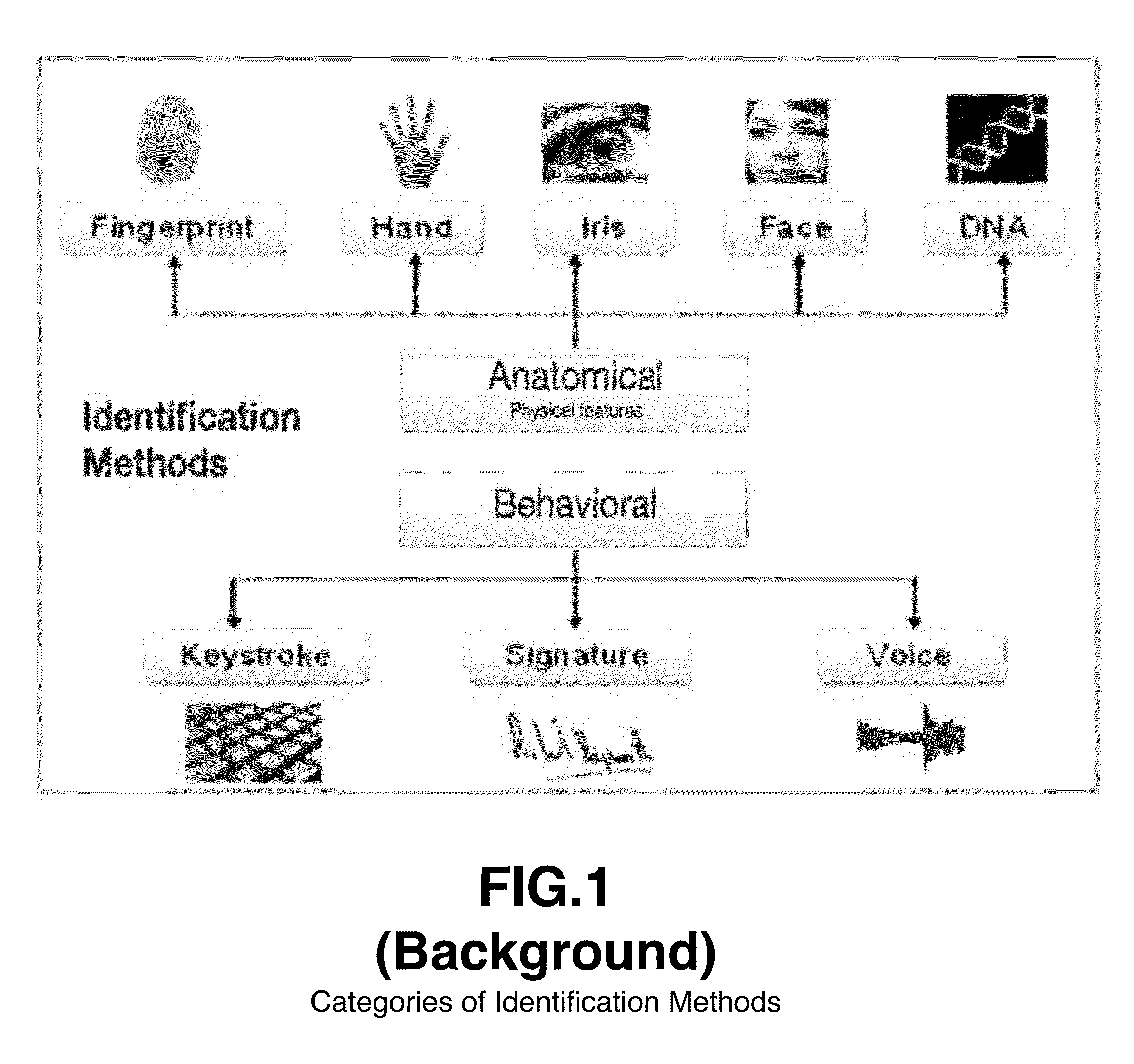 Data encryption/decryption using neuro and neuro-mechanical fingerprints