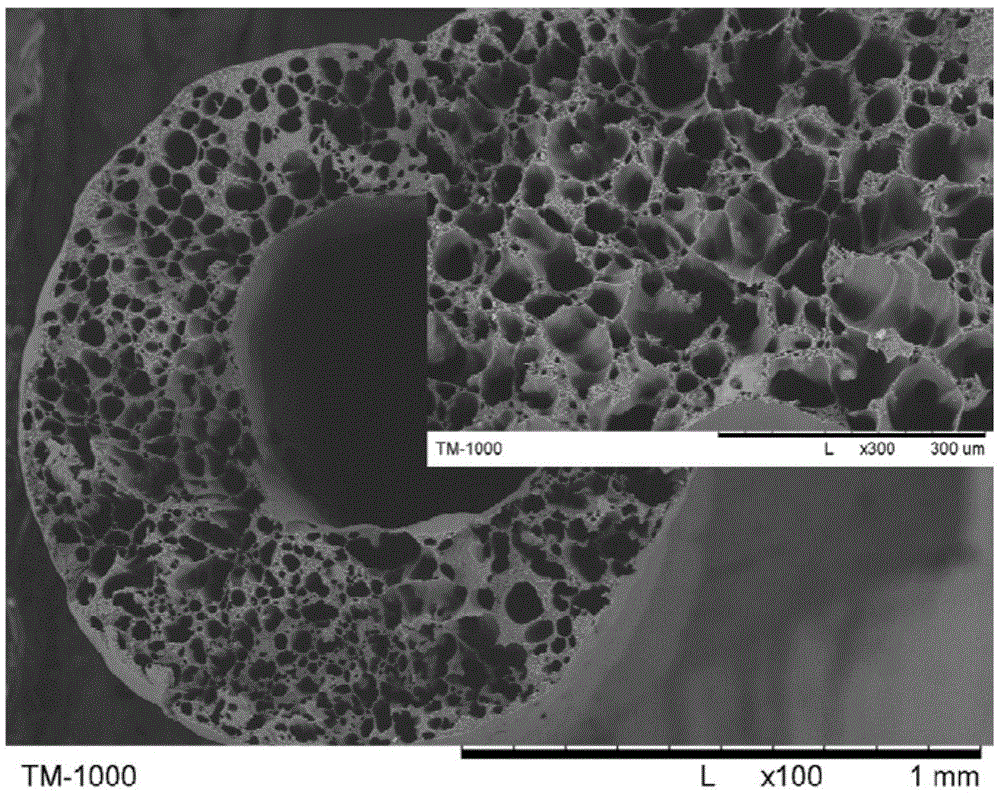 A preparation method of high temperature resistant fluoropolymer microporous material