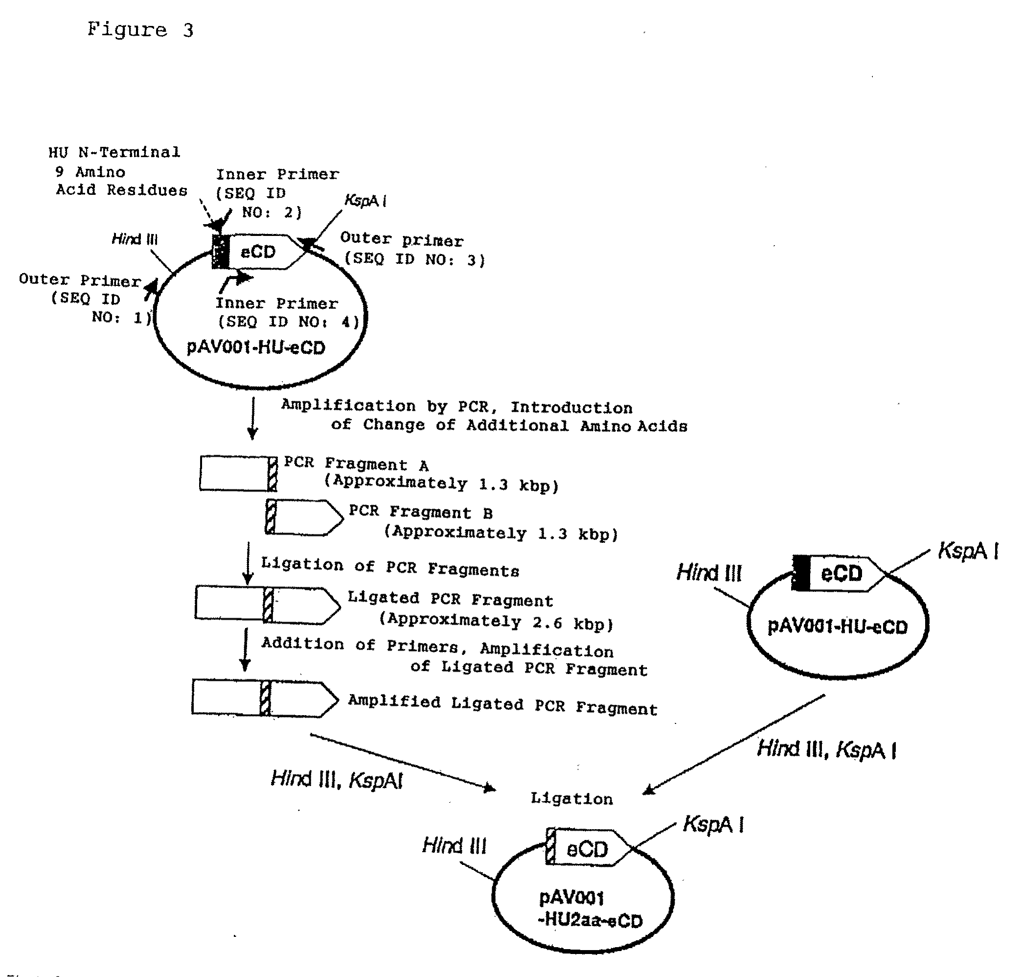 Method of constructing gene transport support