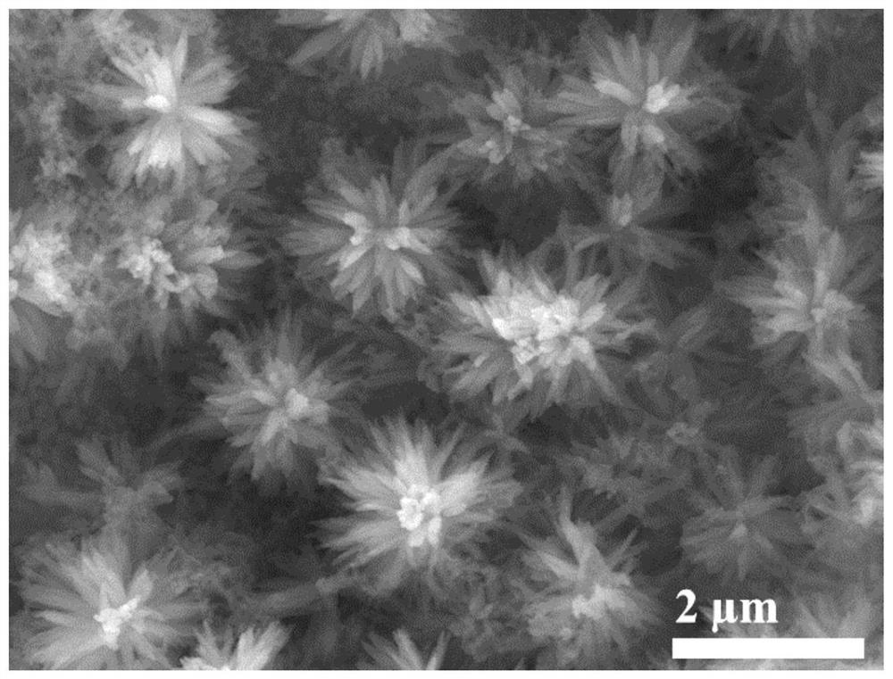 Preparation method and application of three-dimensional polydopamine