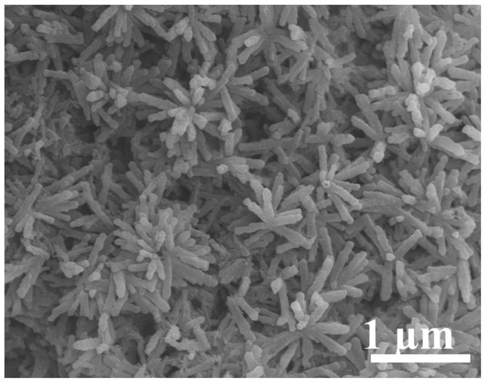 Preparation method and application of three-dimensional polydopamine