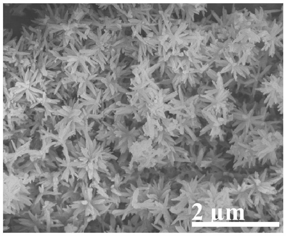 Preparation method and application of three-dimensional polydopamine