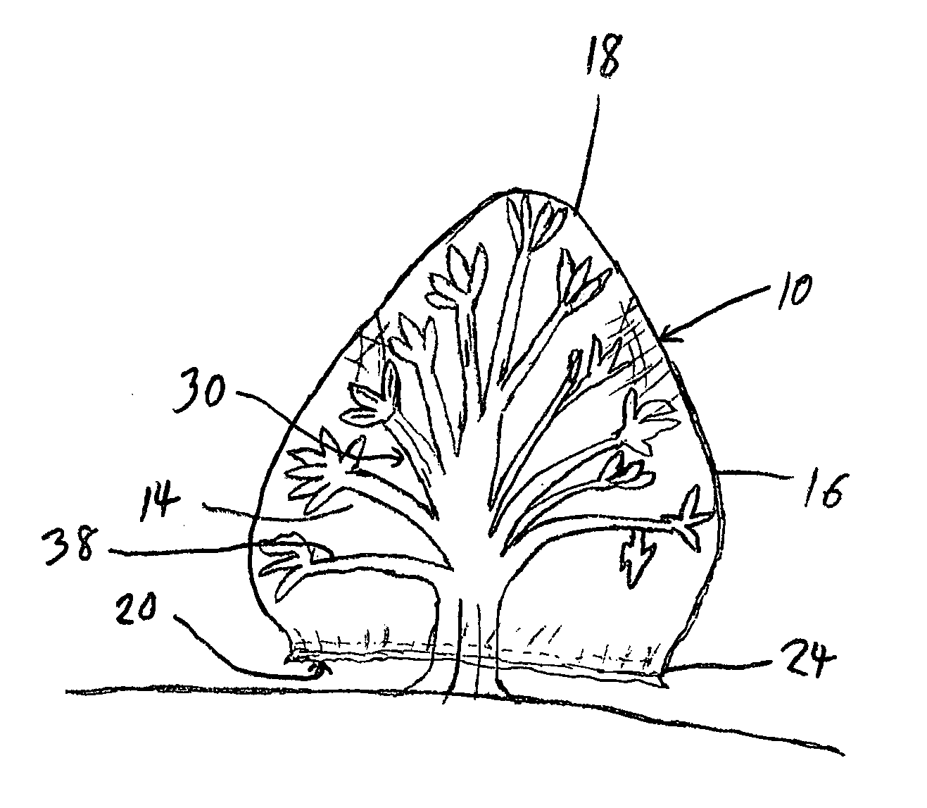 Frost protection for plants