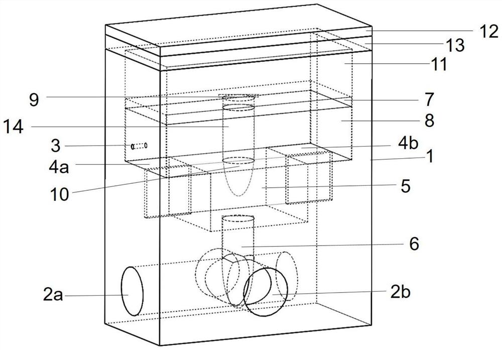 A confirmation method for samples in the gray zone after nucleic acid amplification