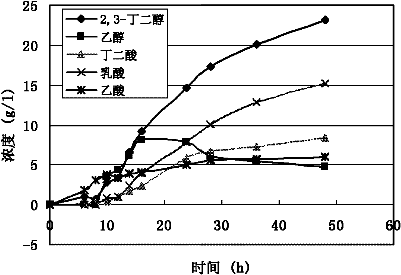 Method for improving glycerol microbial fermentation production of 1,3-propanediol by constructing gene engineering bacterium