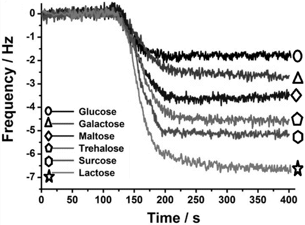 Monosaccharide polymer enriching material and preparation thereof, and application of the monosaccharide polymer enriching material to enrichment of glycopeptides