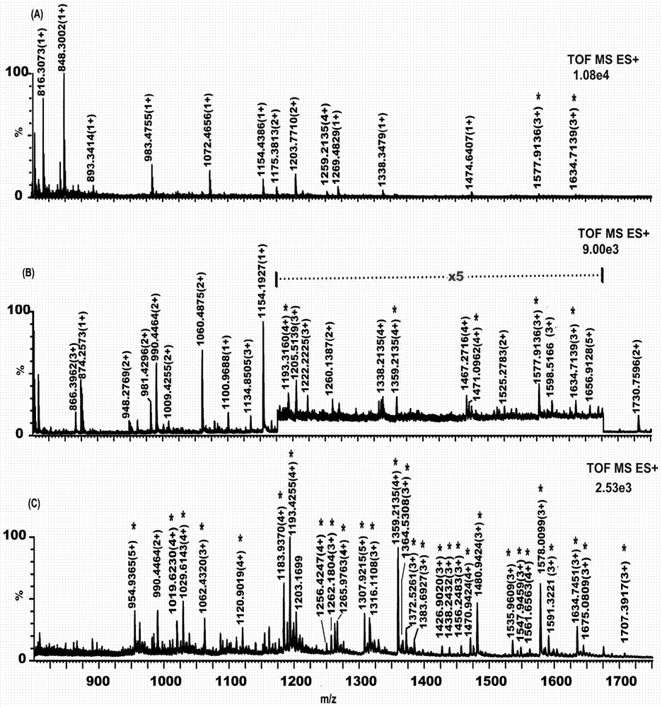 Monosaccharide polymer enriching material and preparation thereof, and application of the monosaccharide polymer enriching material to enrichment of glycopeptides