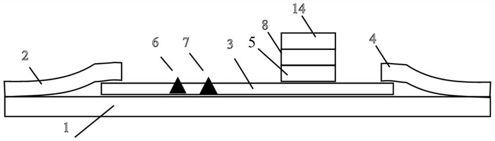 Brucella antibody rapid quantitative detection card and detection method