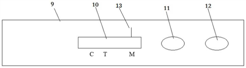 Brucella antibody rapid quantitative detection card and detection method