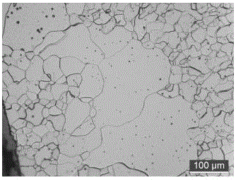 Hot rolled wire rod for ultra-low carbon steel fibers and production method of hot rolled wire rod