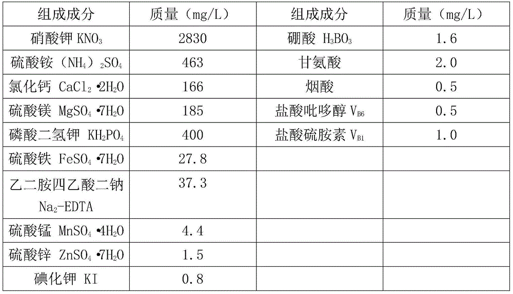 Zhejiang anoectochilus roxburghii seed tissue culture and rapid seedling raising method