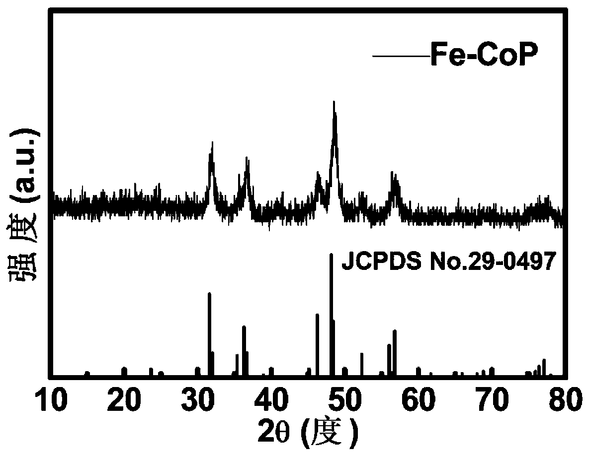 Iron-doped cobalt phosphide microsphere electrode material with flower-like structure, preparation method and application thereof