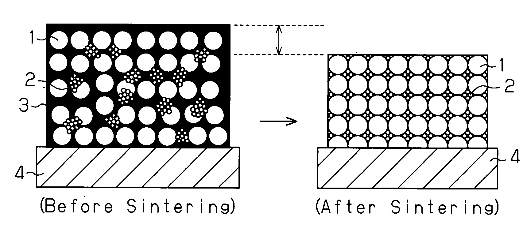 Conductive Paste and Wiring Board Using It