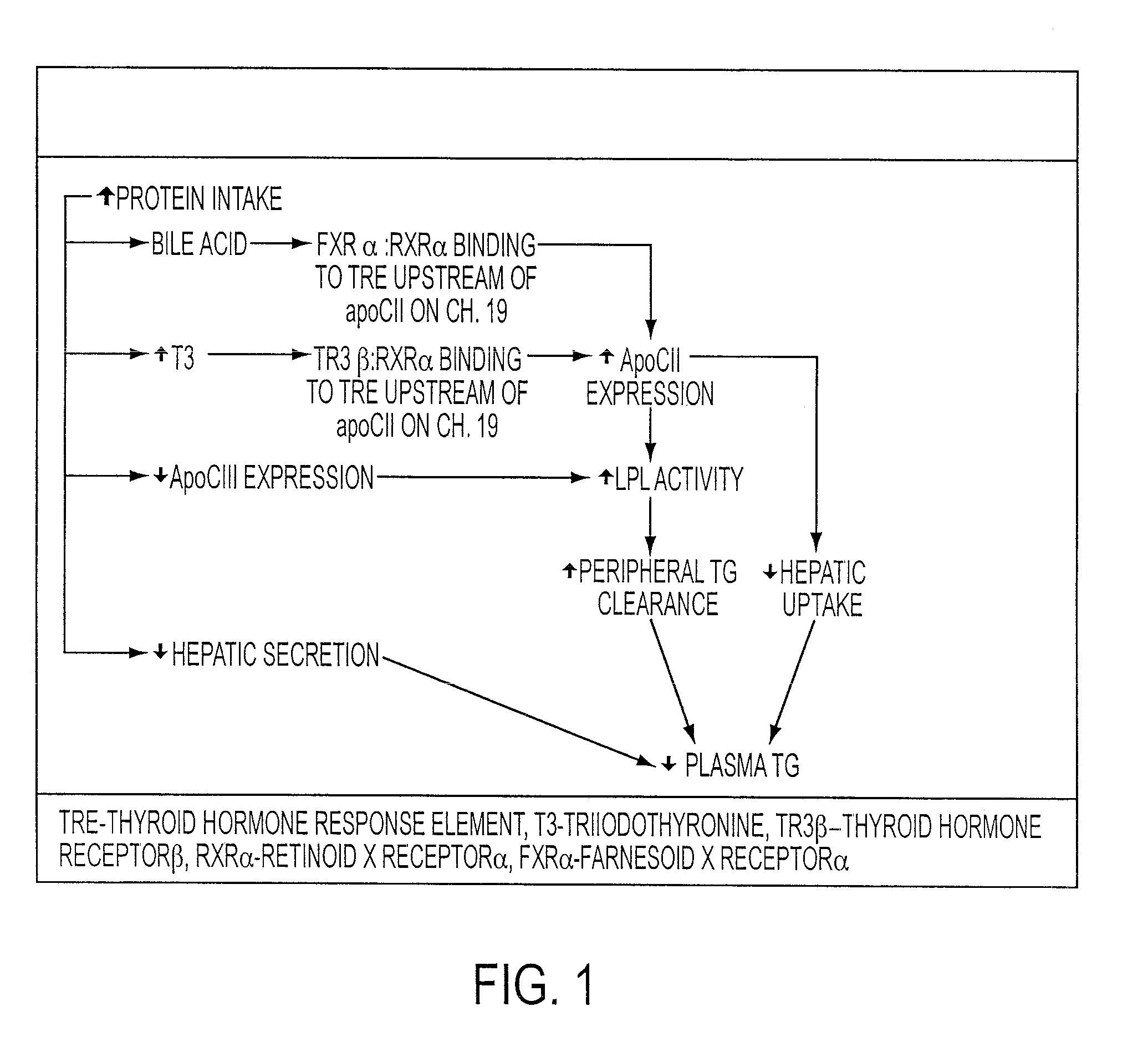 Compositions and methods for improving cardiovascular health