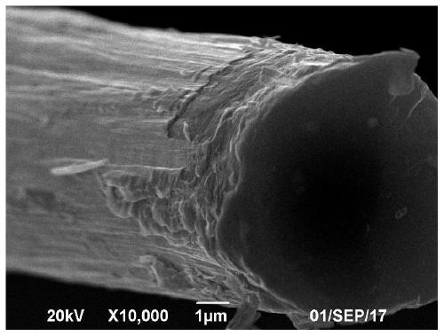 A kind of preparation method of bn/carbide coating composite carbon fiber electromagnetic shielding material