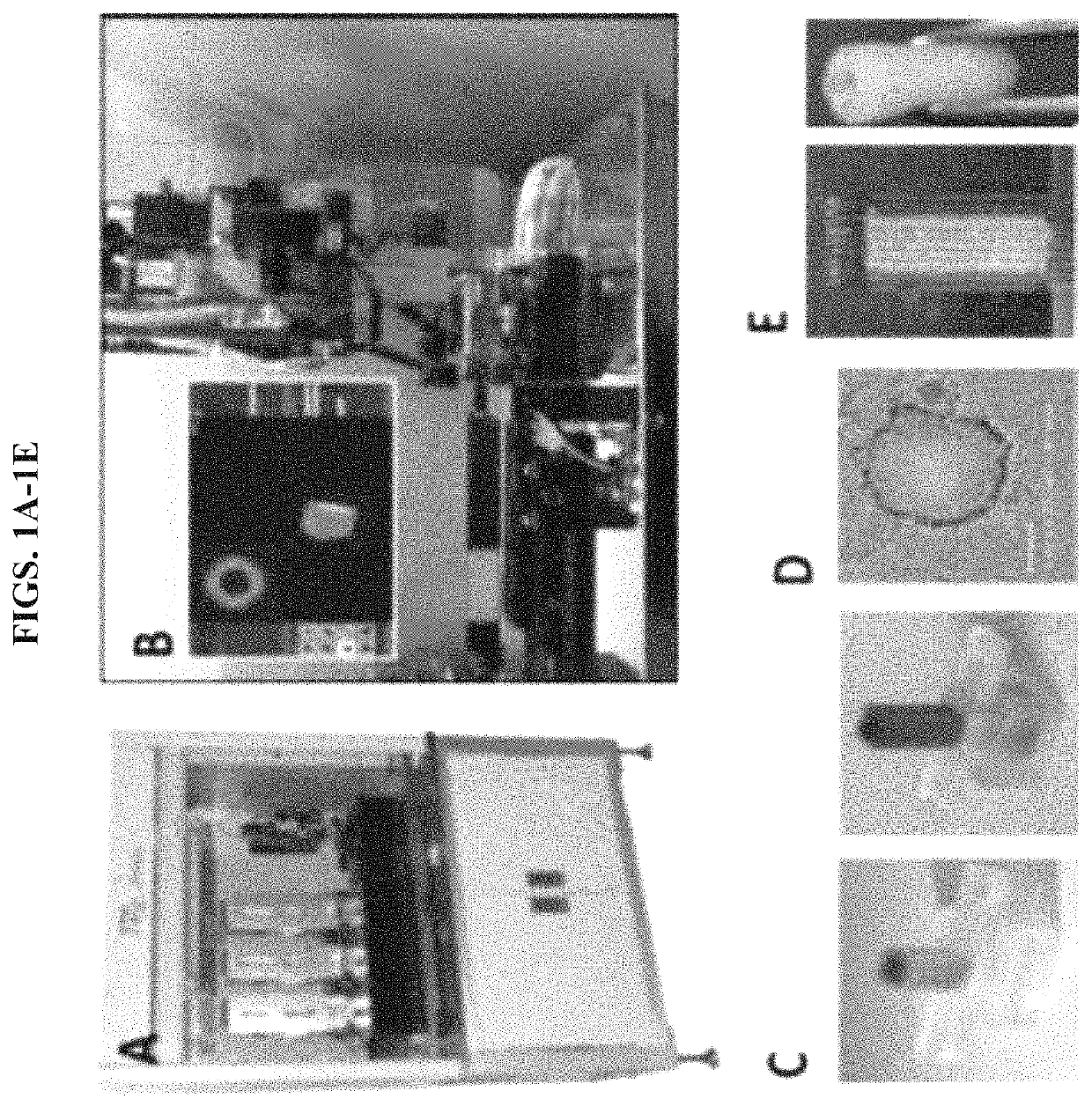 Scaffold-free 3D bioprinting of porcine cells