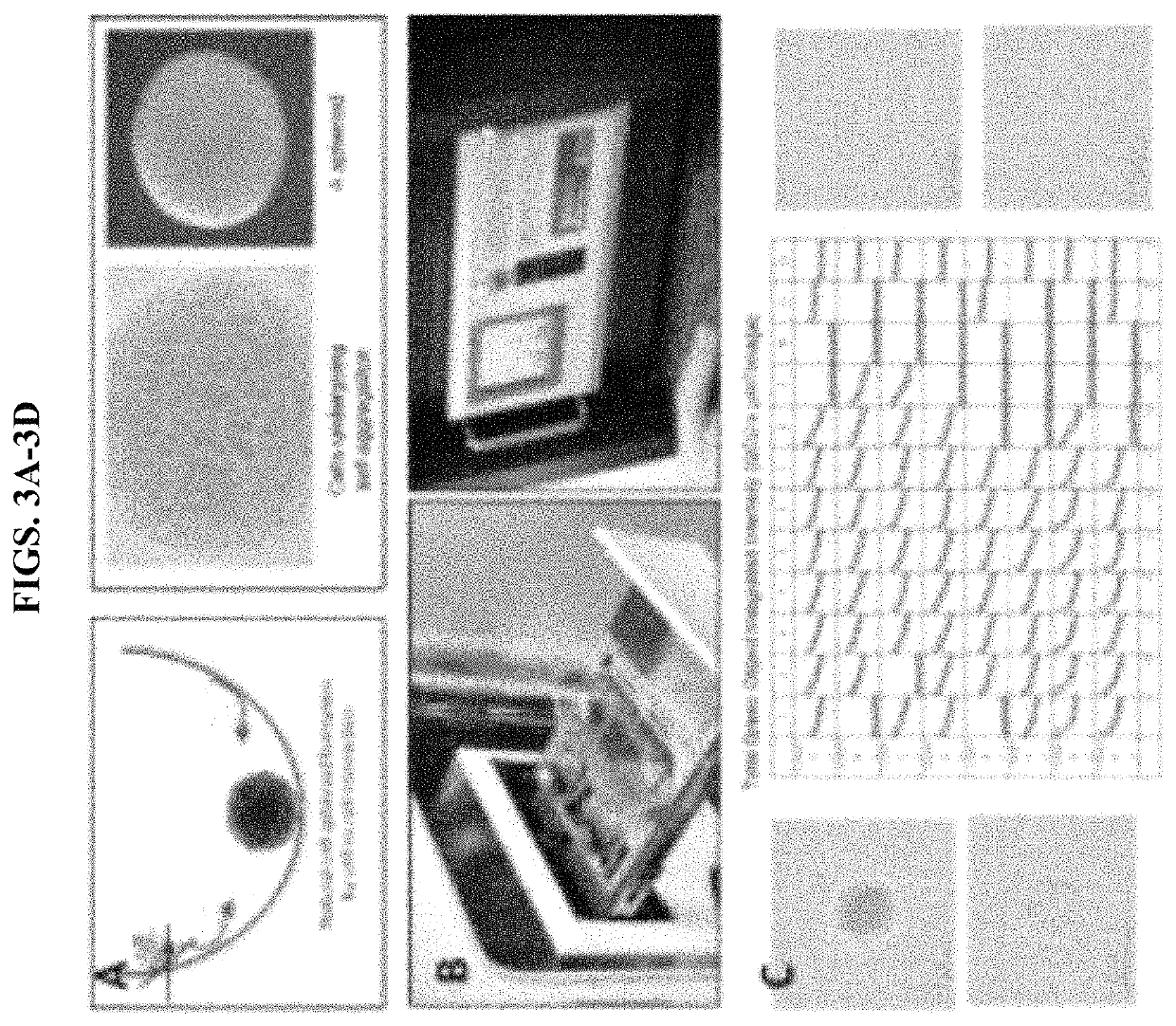 Scaffold-free 3D bioprinting of porcine cells