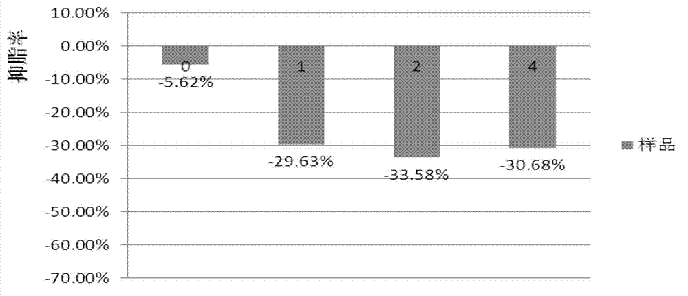 Skin care composition and water aqua having acne treatment efficacy and preparation method of water aqua