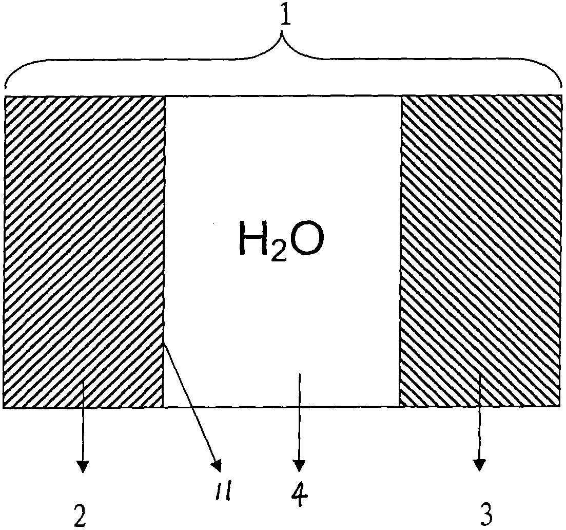 Method for manufacturing monolithic bipolar membrane