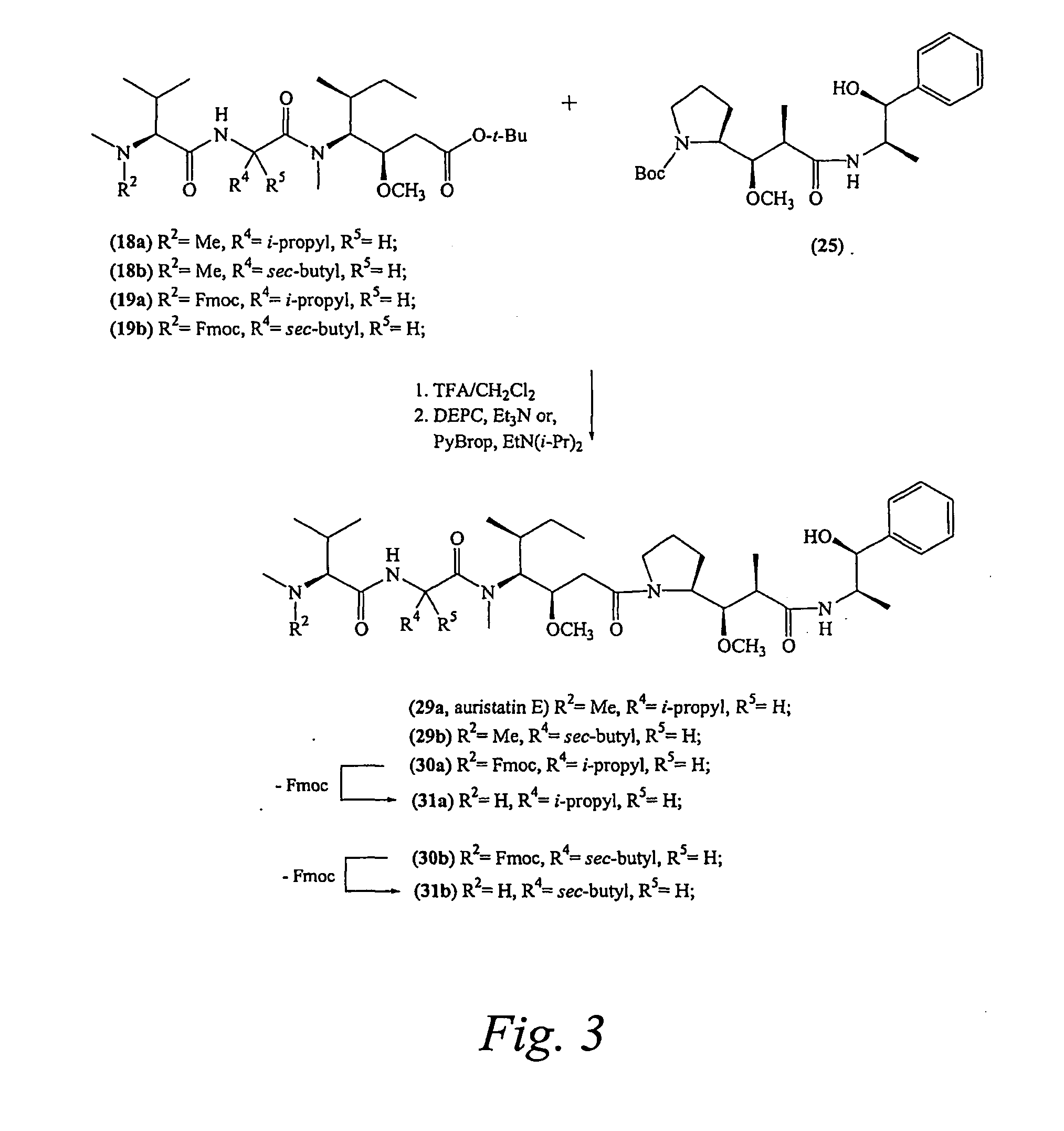 Pentapeptide compounds and uses related thereto