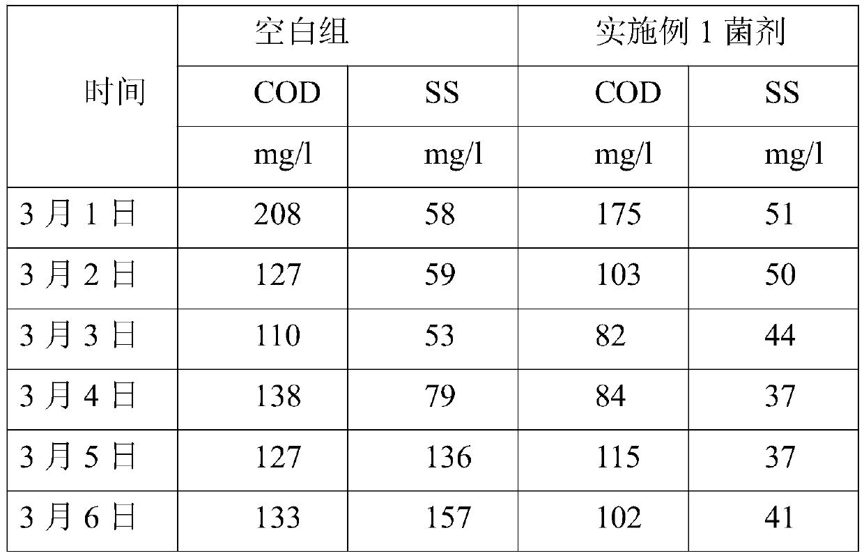 Degradation cod fungal agent and preparation method thereof