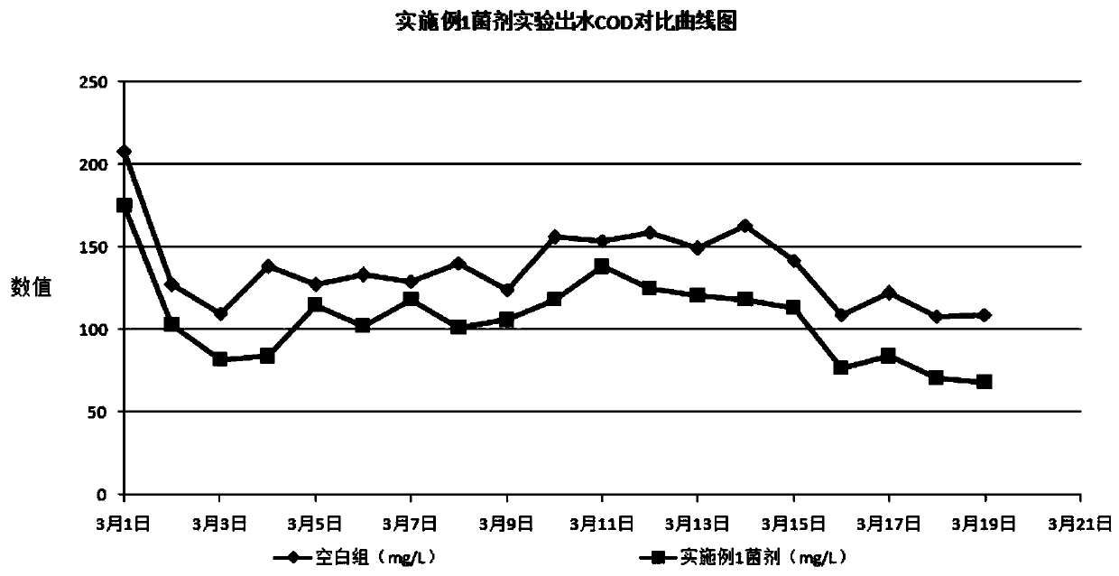 Degradation cod fungal agent and preparation method thereof