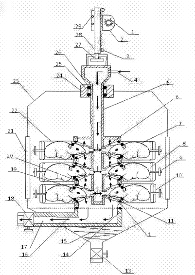 Whole-body and only-nose compatible breathing toxicity test equipment