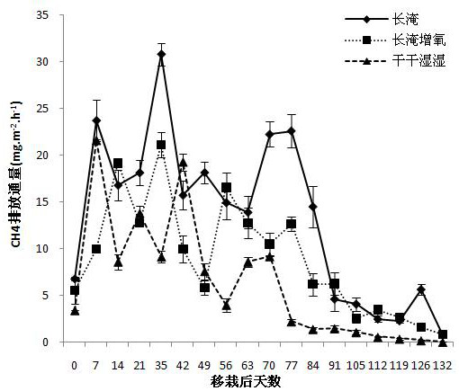 A method to reduce methane emissions from rice fields by altering the rhizosphere oxygen environment