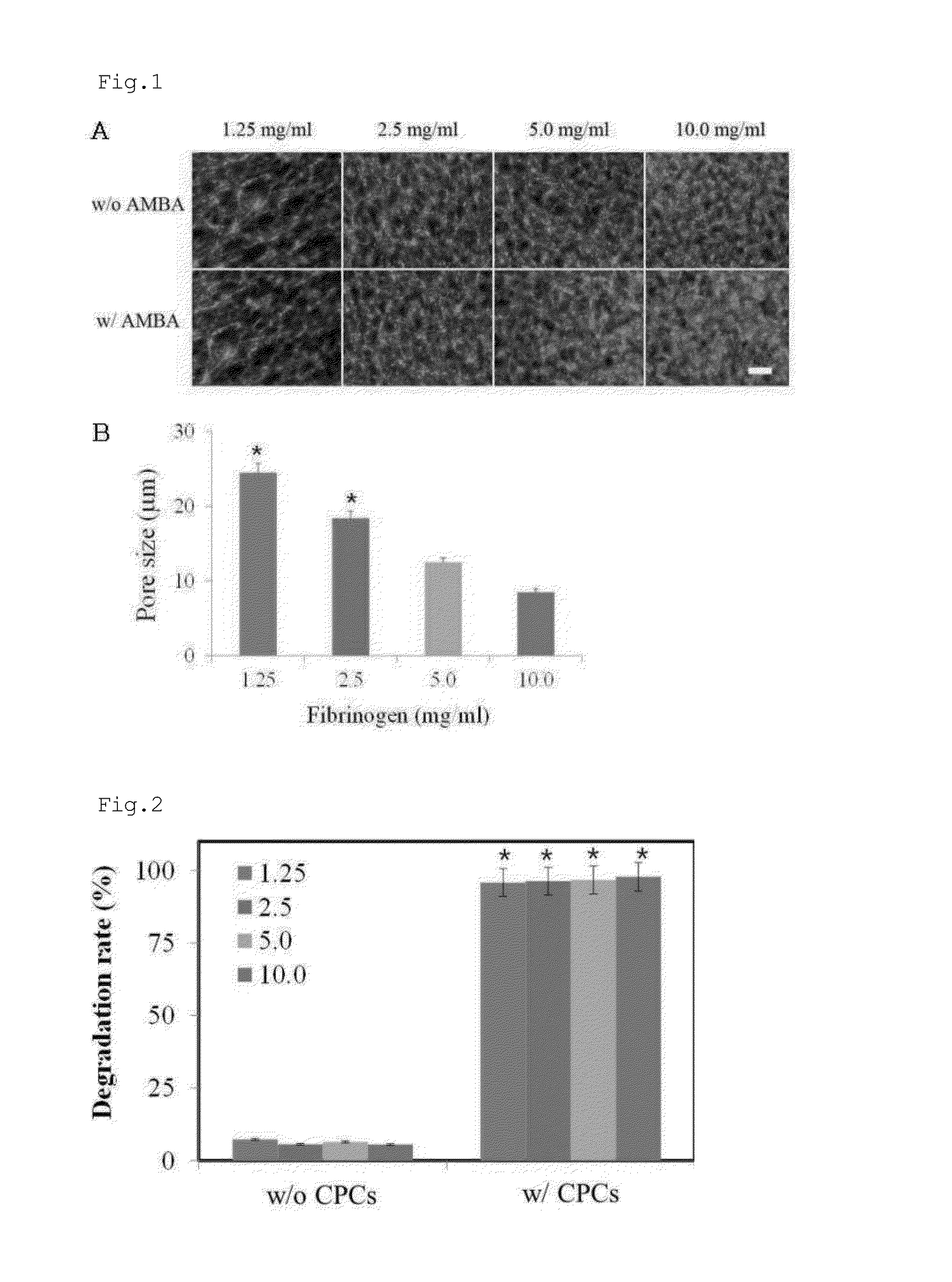 Method for culturing cardiac progenitor cells and use of cardiac progenitor cells