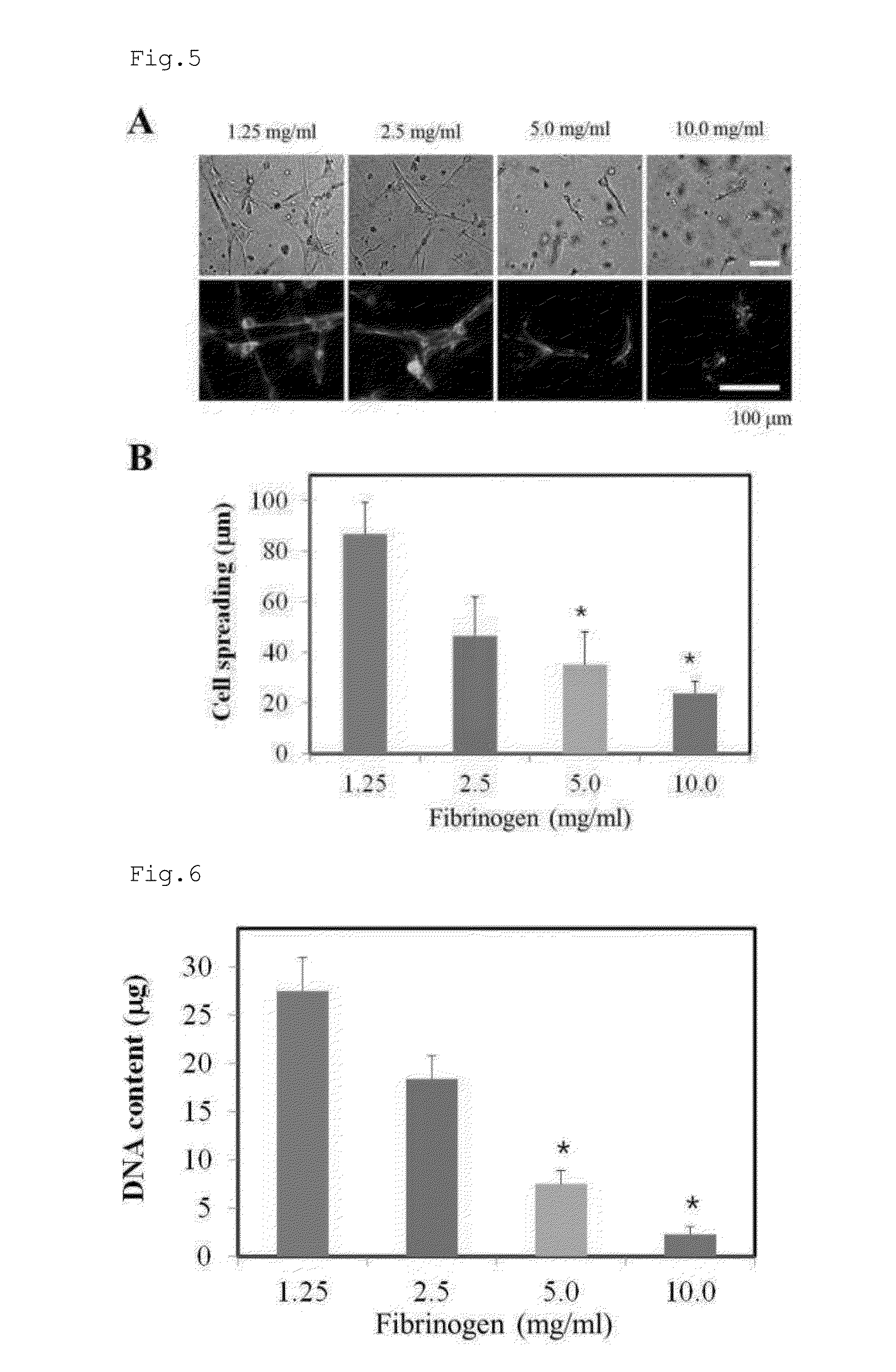 Method for culturing cardiac progenitor cells and use of cardiac progenitor cells