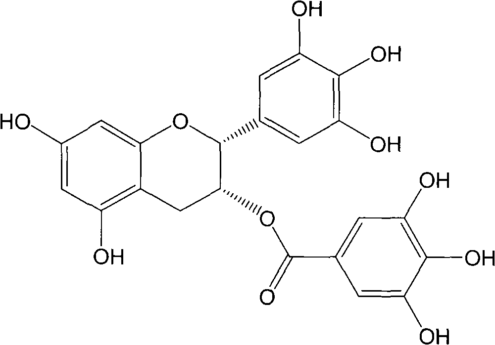 Enteric-coated medicament combination containing epigallocatechin gallate