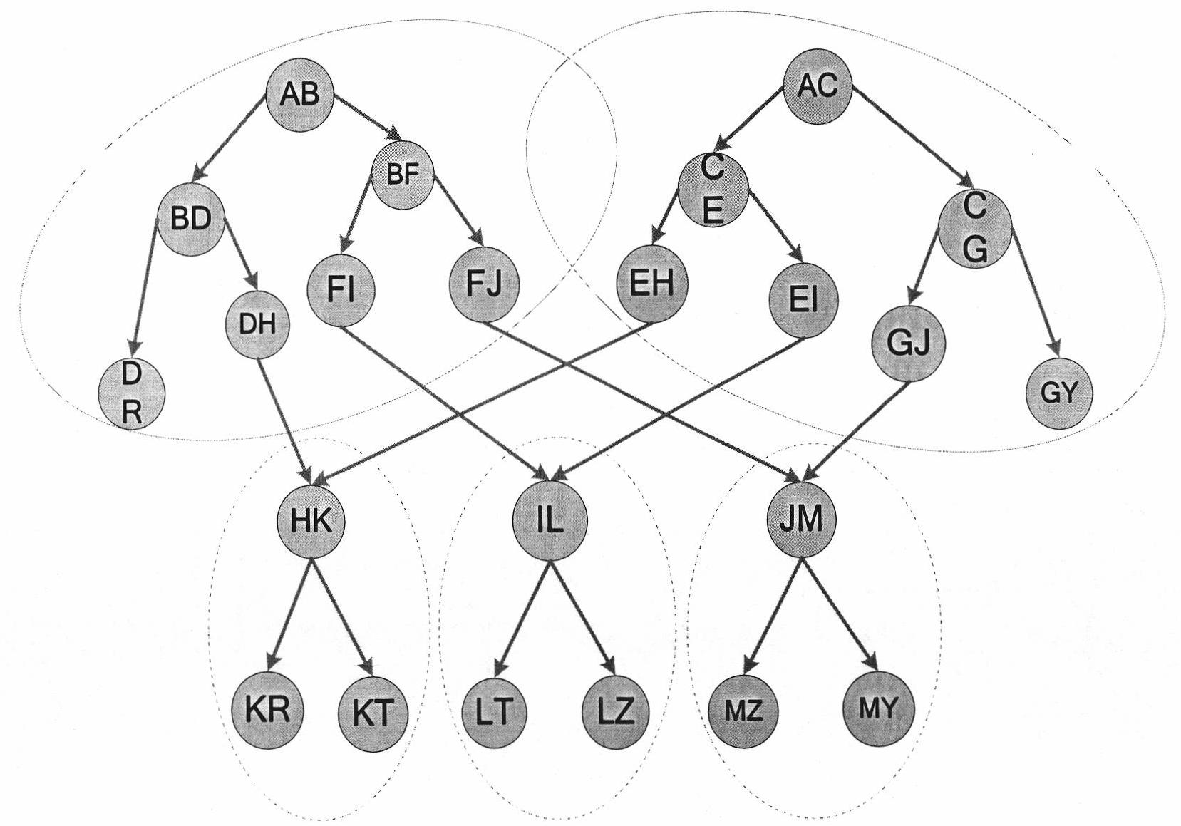 Dynamic allocation method of coding vector based on graph coloring in multicast network