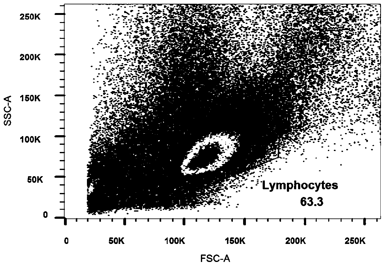 Monoclonal antibody against filamentous virus GP protein and application of monoclonal antibody