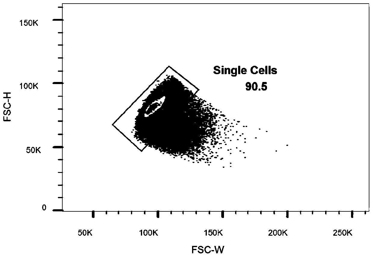 Monoclonal antibody against filamentous virus GP protein and application of monoclonal antibody