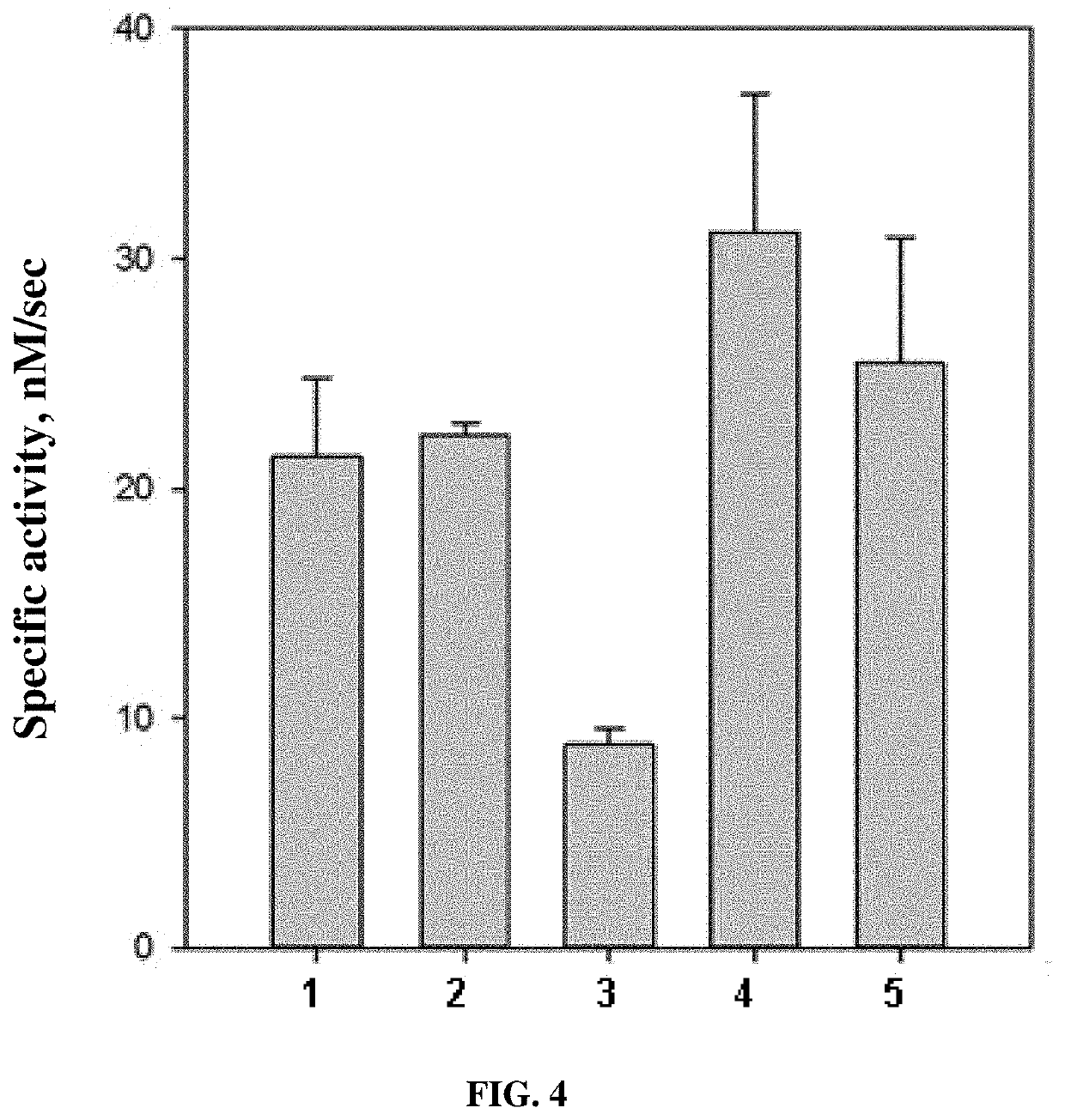 Preparation of wheat cysteine protease triticain-alpha produced in soluble form and method of producing same