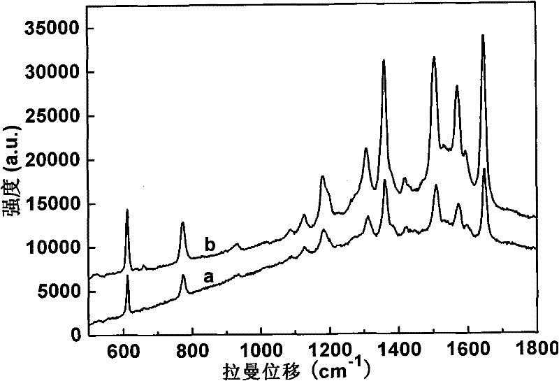 Top silver-cladding gold nanorod array and preparation method and application thereof