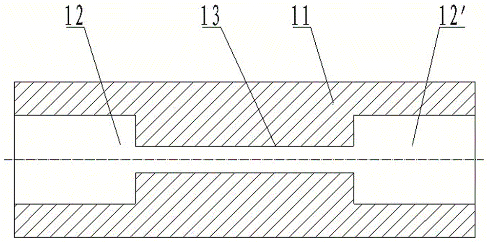 Special hanger for poultry slaughtering assembly line