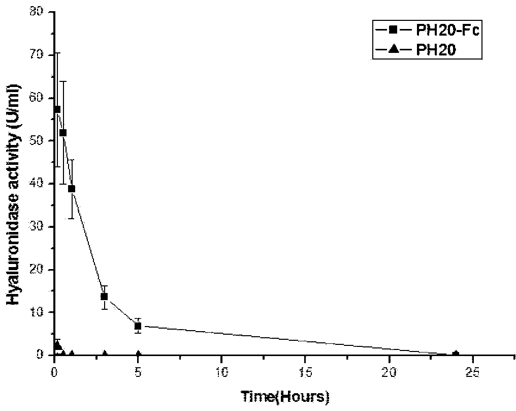 Recombinant long-acting human hyaluronidase, and encoding gene, production method and application thereof