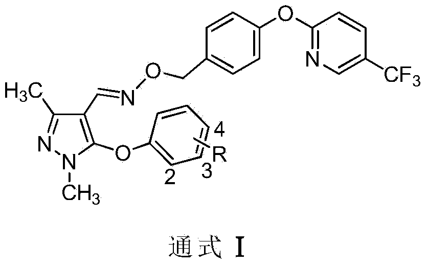 Preparation and application of pyrazole oxime ether compound containing trifluoro methyl pyridine