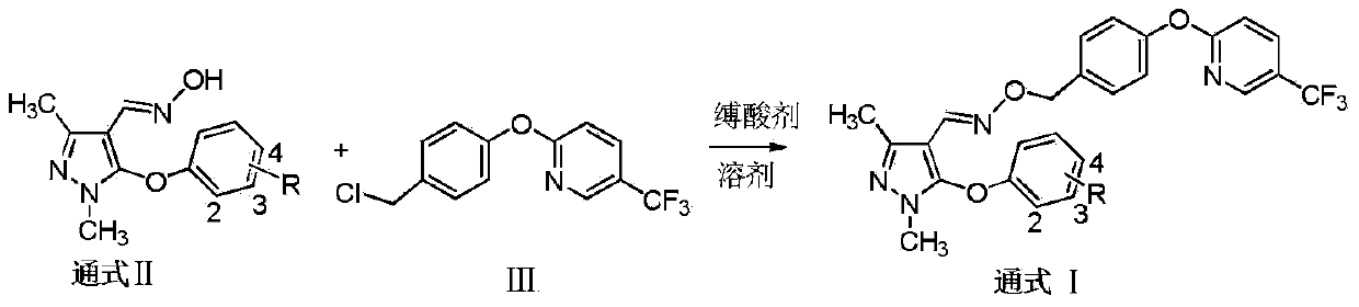 Preparation and application of pyrazole oxime ether compound containing trifluoro methyl pyridine