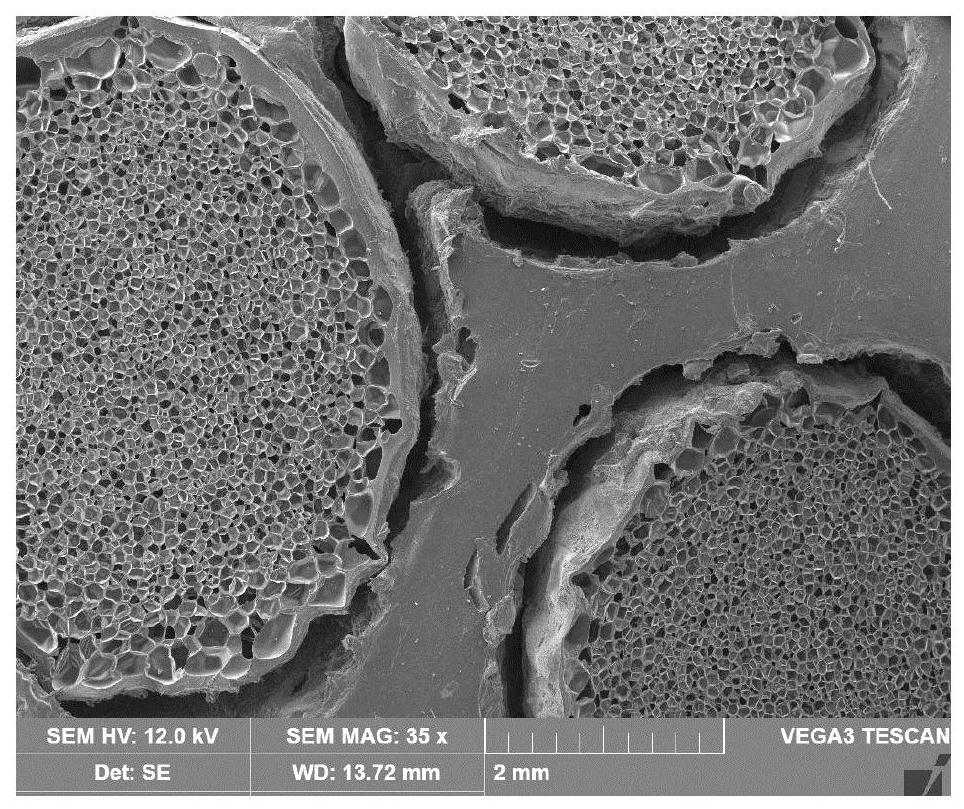 Preparation method of light flexible isolation type elastomer composite microporous strain sensing material