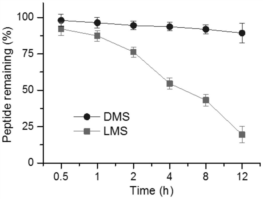 A kind of polypeptide, lipid carrier modified by polypeptide and application