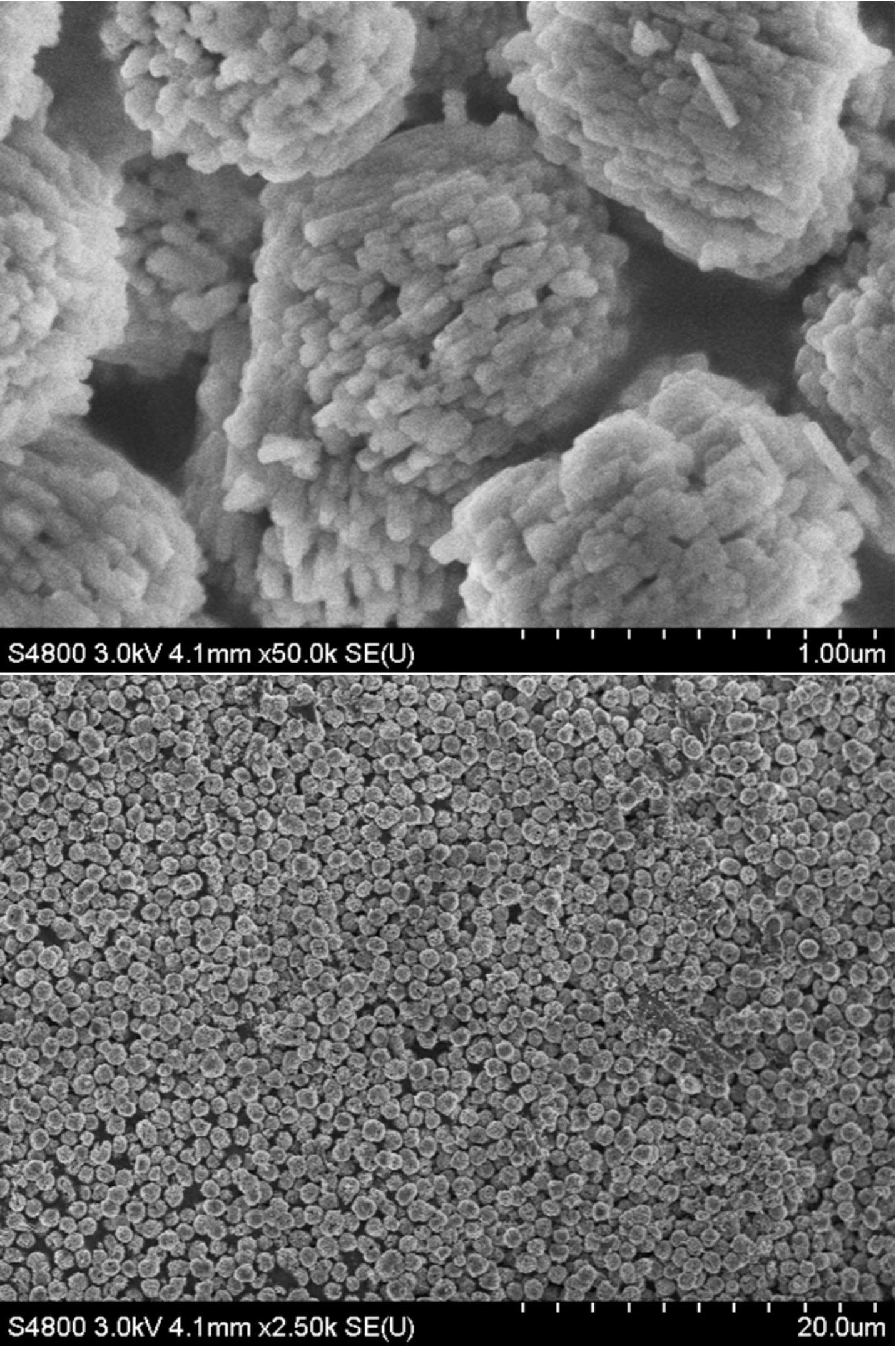 Preparation method of mesoporous mordenite