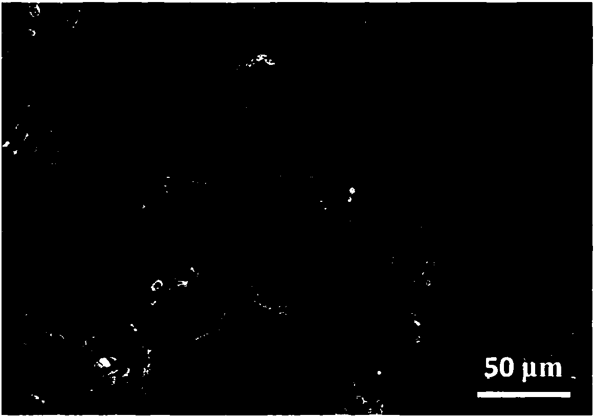 Three-dimensional graphene foam as well as preparation method and application thereof