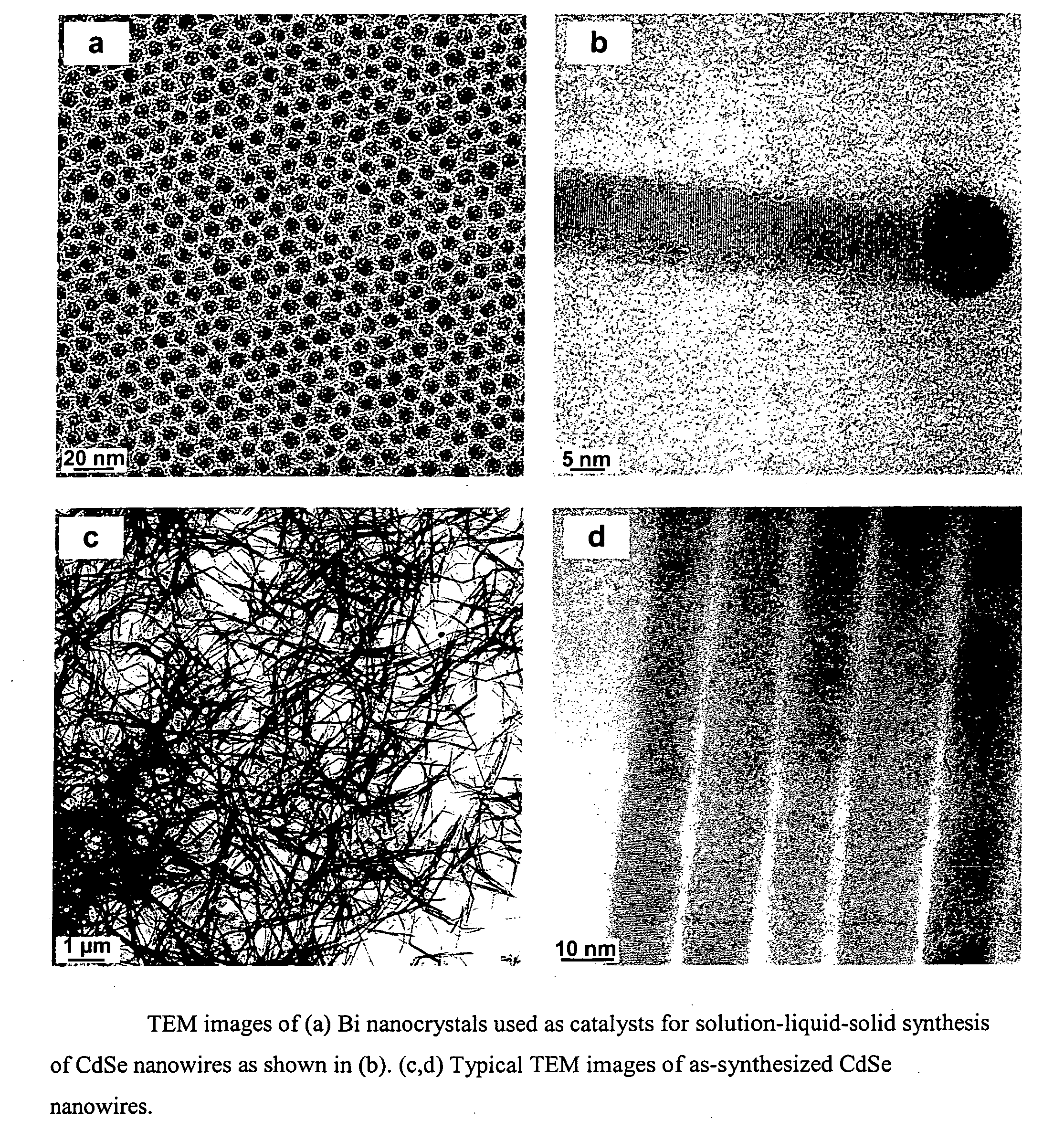 Method for fabricating an inorganic nanocomposite