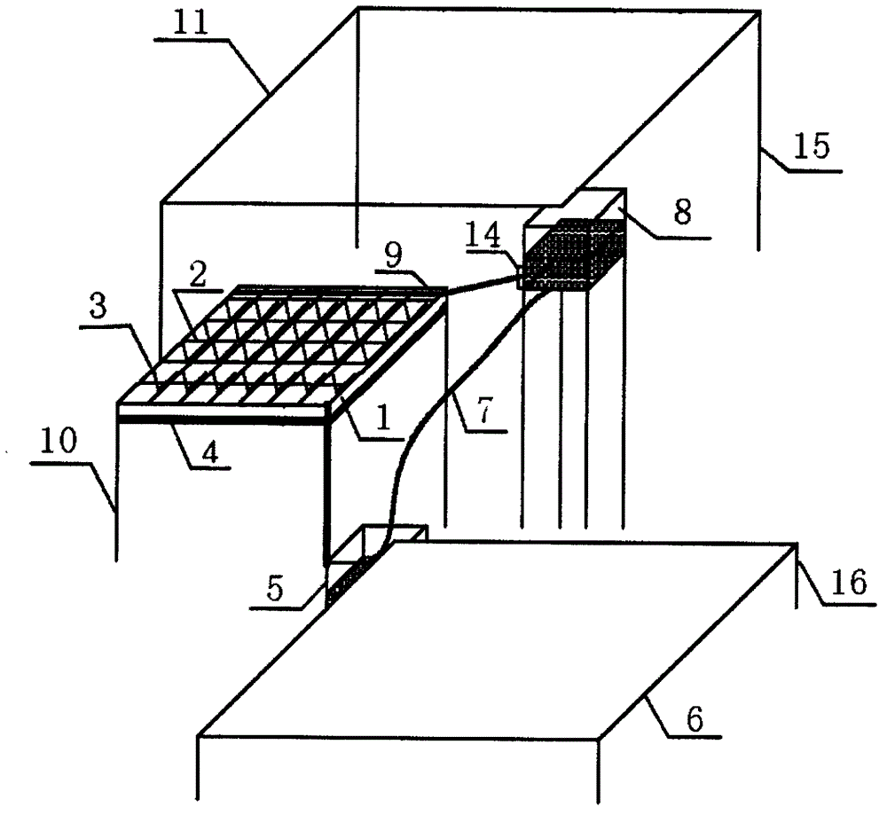 Desert rainwater harvesting water storage trickle irrigation device