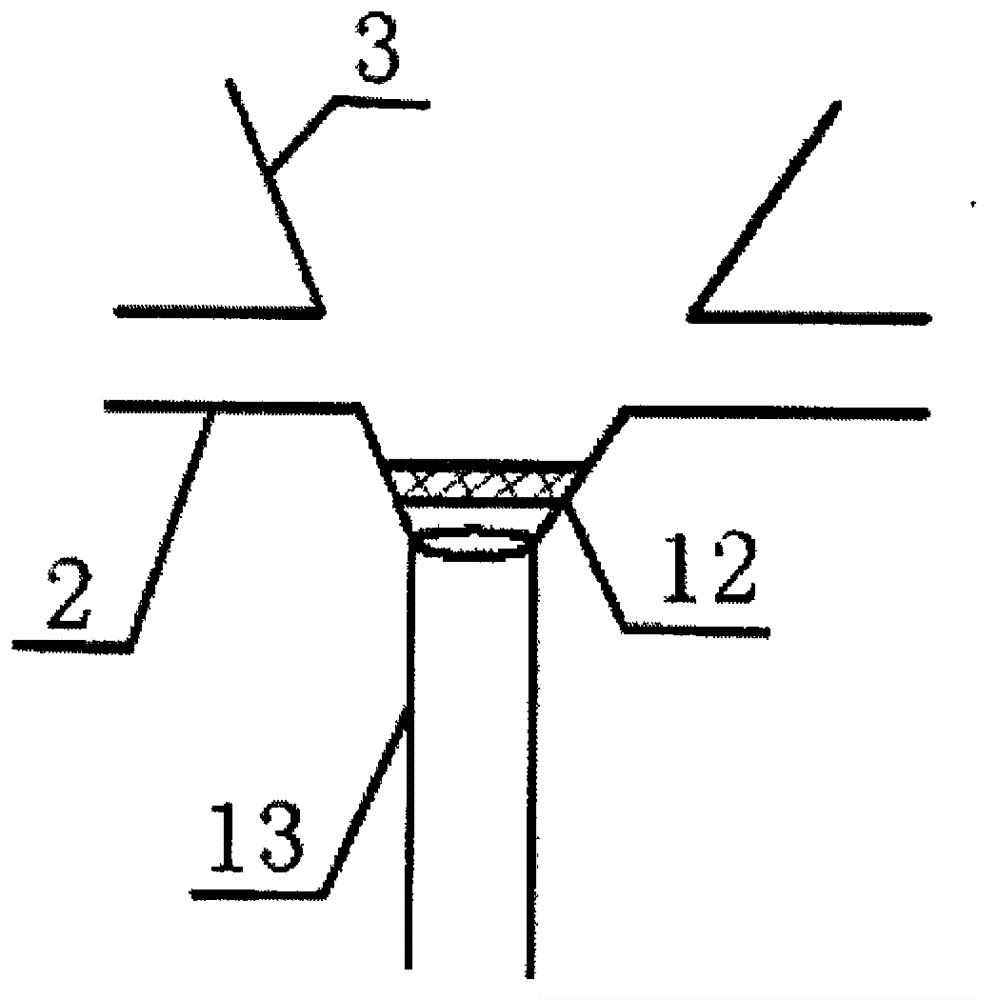 Desert rainwater harvesting water storage trickle irrigation device