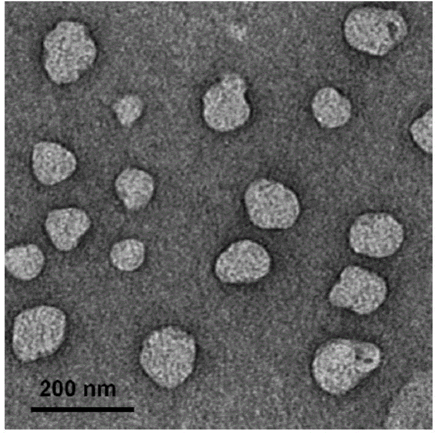 Amphiphilic polypeptide, heterozygous liposome and its preparation method, and drug-loaded heterozygous liposome and its preparation method