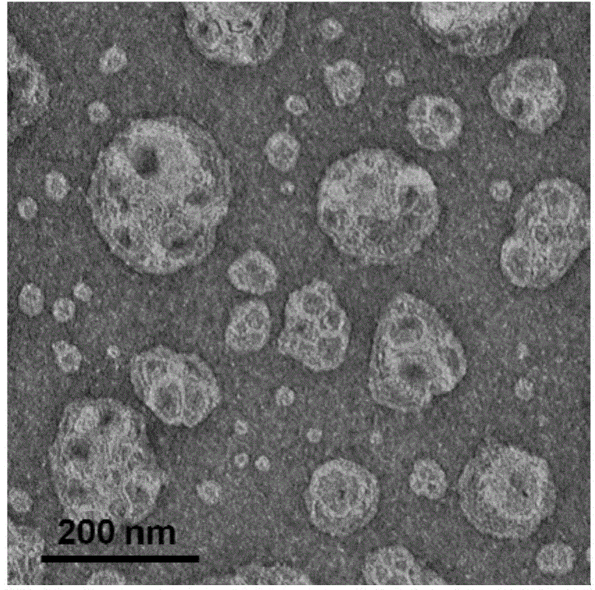 Amphiphilic polypeptide, heterozygous liposome and its preparation method, and drug-loaded heterozygous liposome and its preparation method