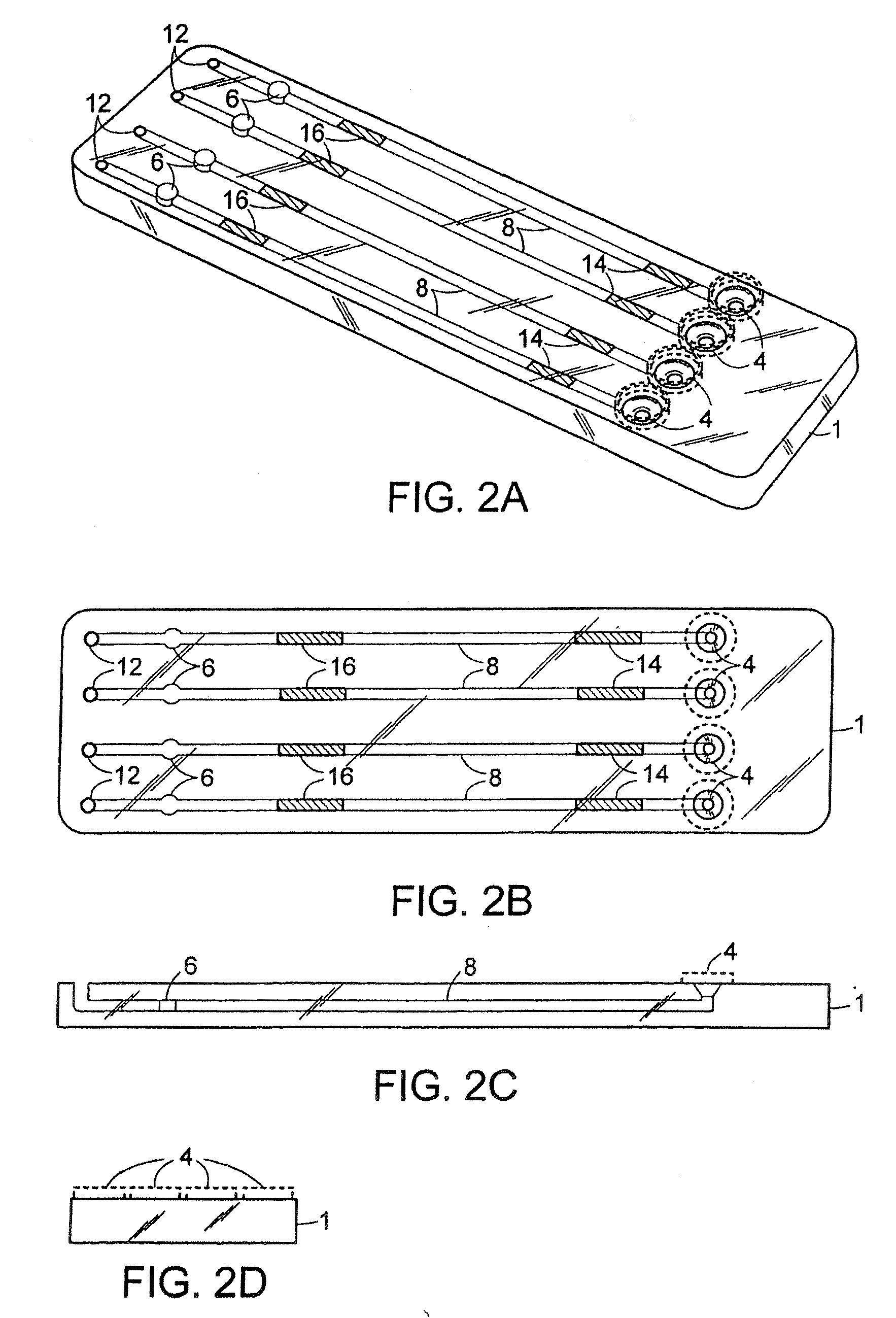 Methods and Compositions for the Detection of Microbial Contaminants